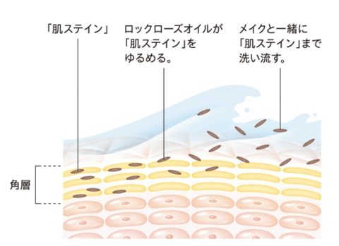 アテニアスキンクリアクレンズオイルくすみ洗い流す